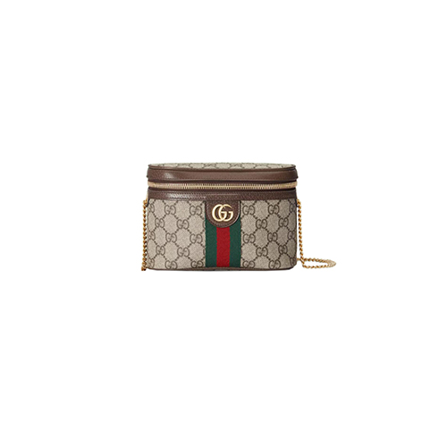 [스페셜오더]GUCCI-699765 8745 구찌 오피디아 웹(Web) 벨트백